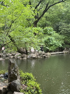 03BAA148-40F6-41C7-9C55-CA3ECE4068A3.jpeg