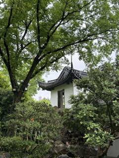 50115A2A-6077-419E-B3C2-231DF4041521.jpeg