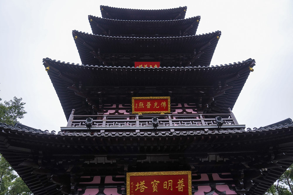nEO_IMG_DSC04957.jpg