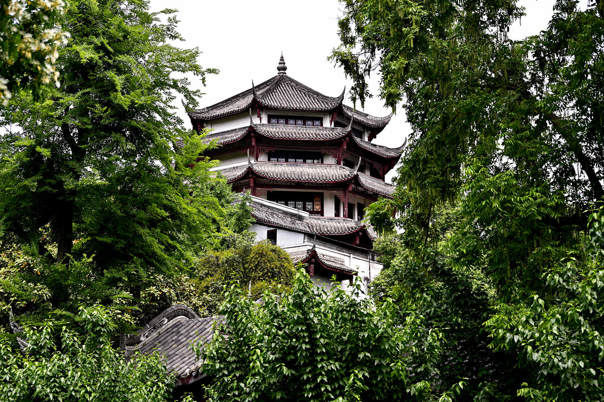 _1082062_副本.jpg