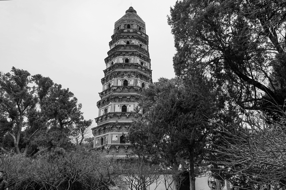 nEO_IMG_DSC05029.jpg