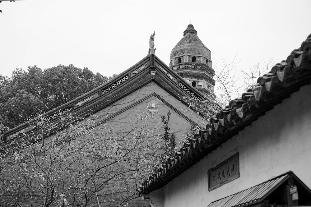 nEO_IMG_DSC05045.jpg