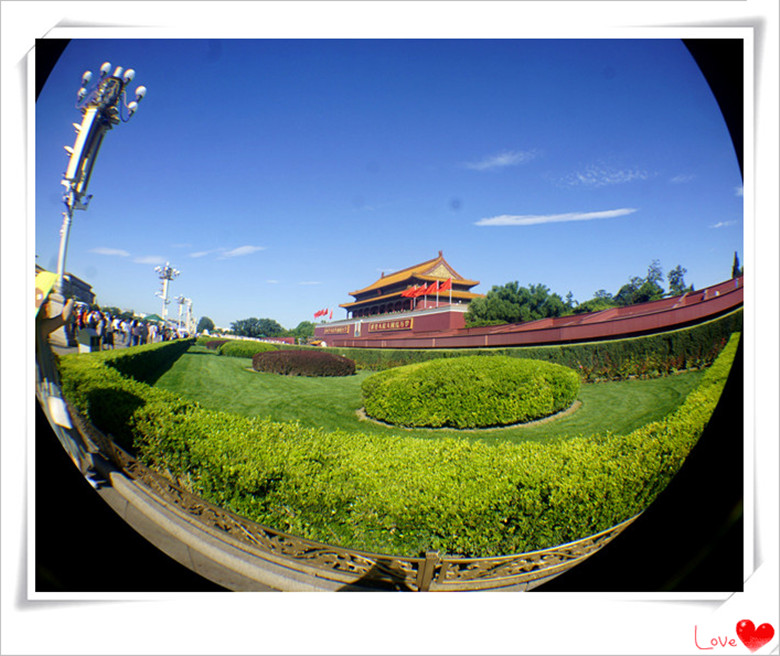 _DSC5333_副本_副本.jpg