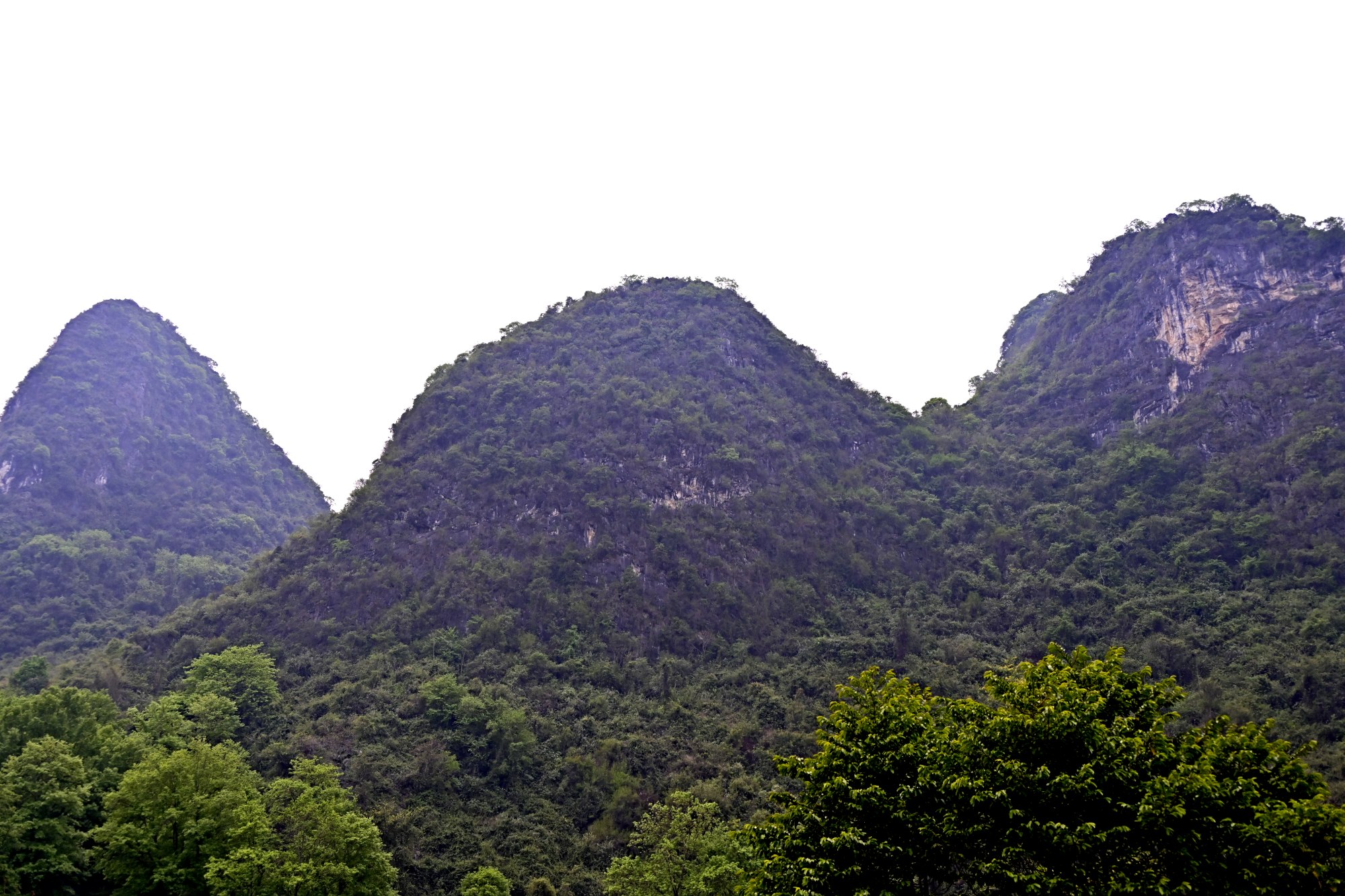 _1081406_副本.jpg