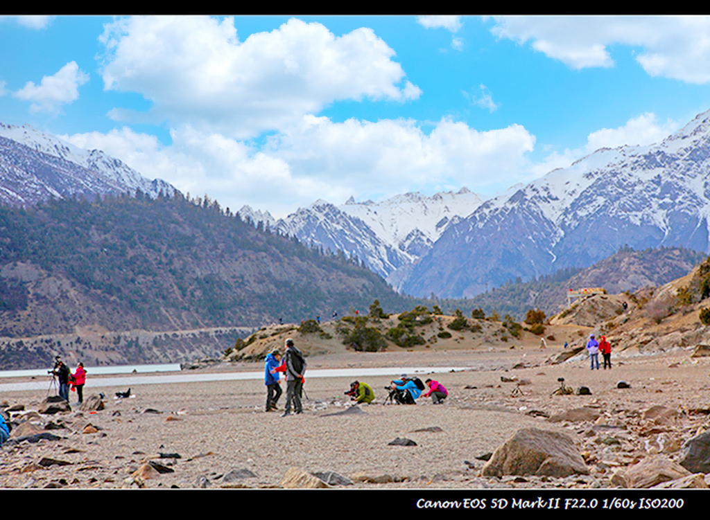 IMG_6306 (50).jpg