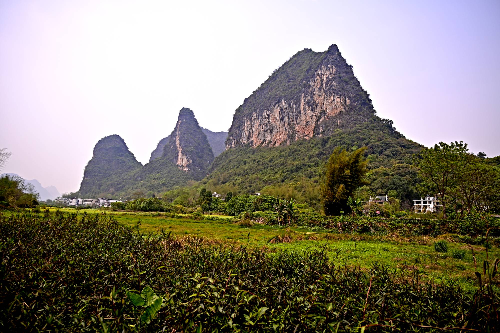 _1081532_副本.jpg