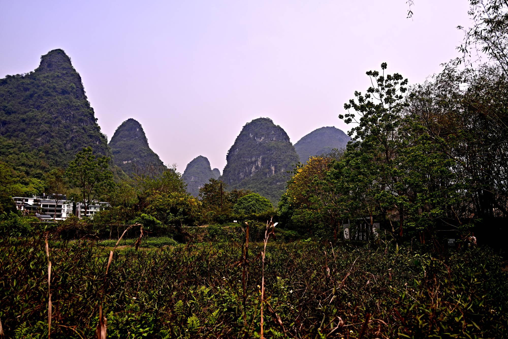 _1081533_副本.jpg