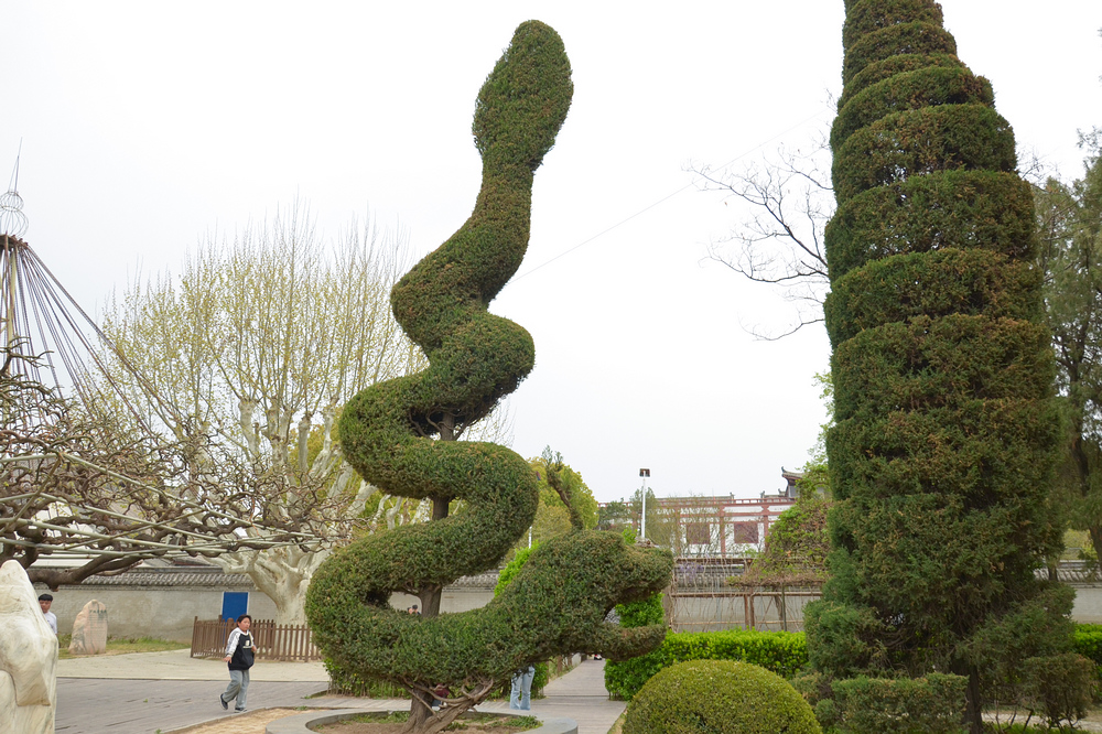 nEO_IMG_DSC_6235.jpg