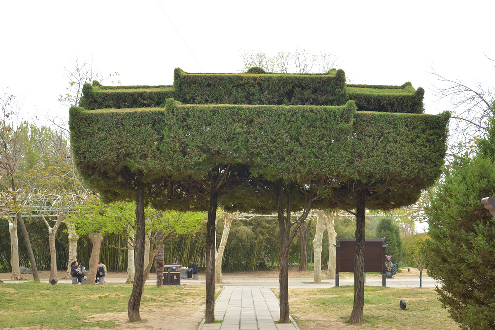 nEO_IMG_DSC_6251.jpg