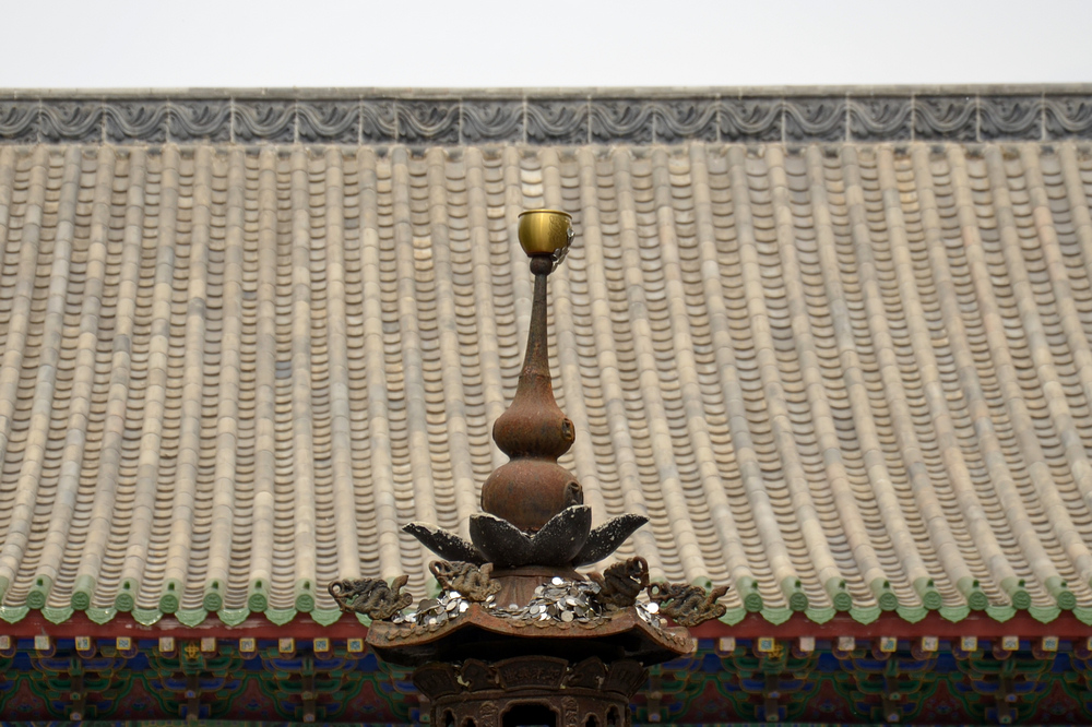 nEO_IMG_DSC_6147.jpg