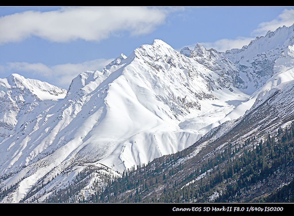 IMG_6239 (68).jpg