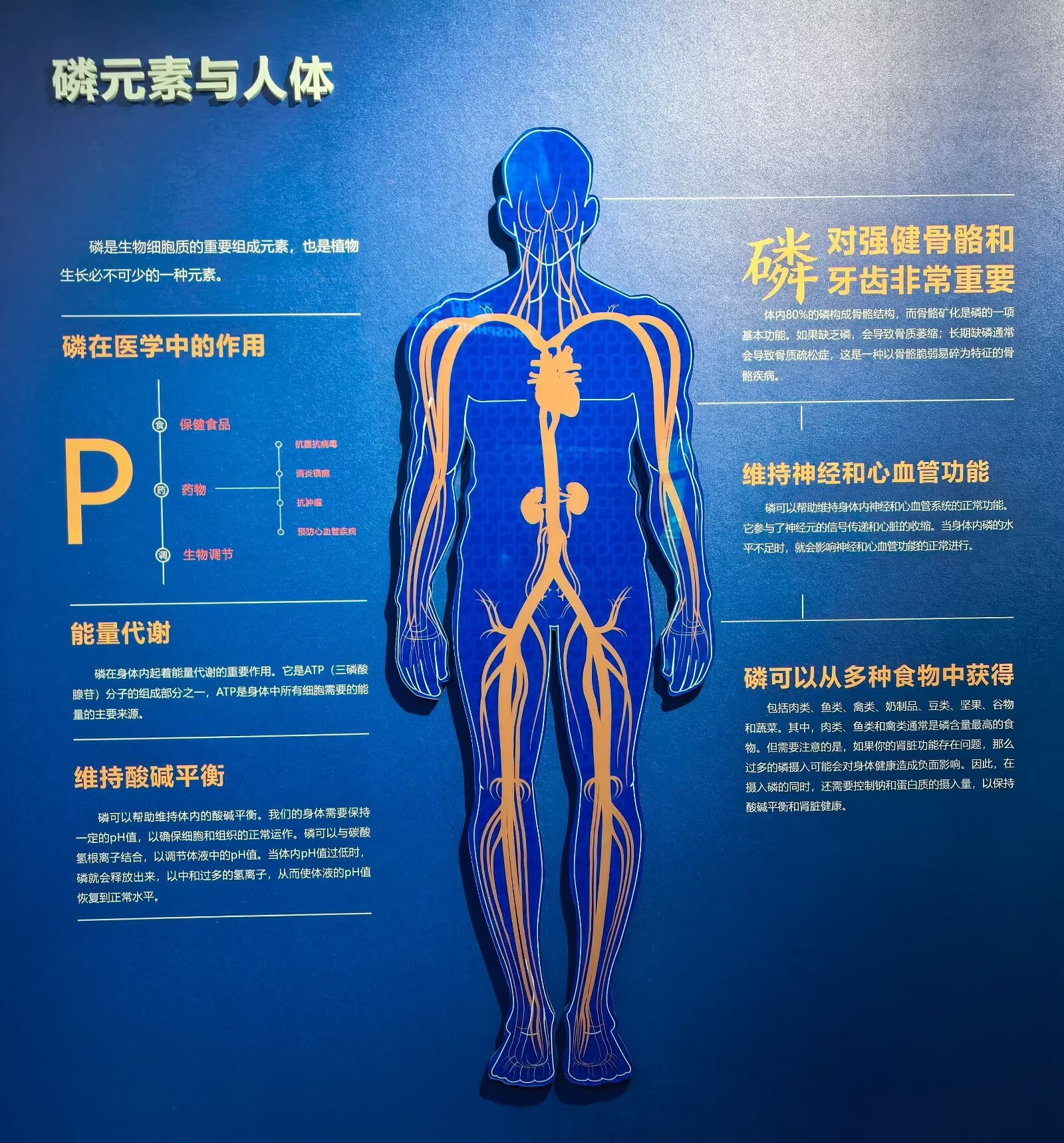 psc (5).jpg