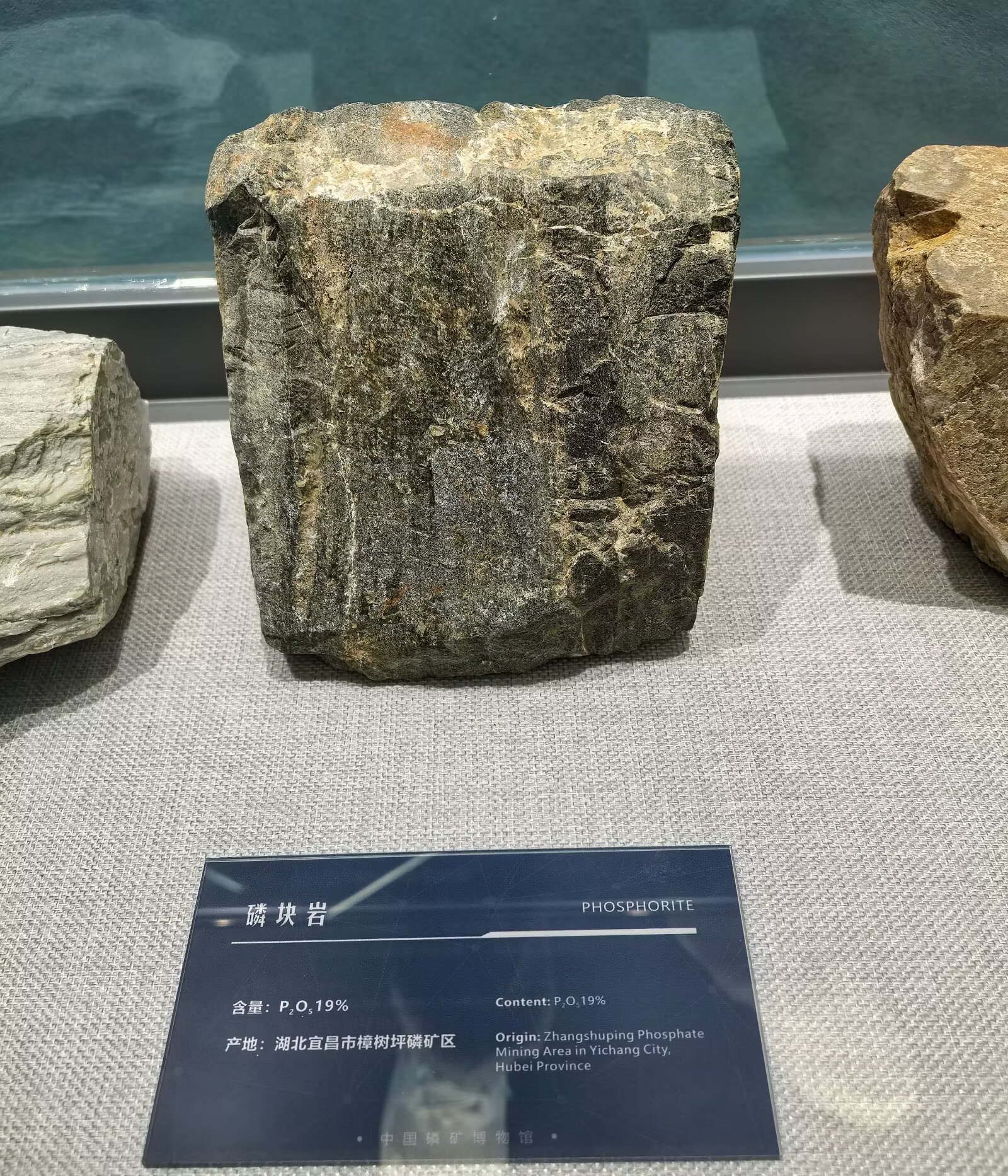 psc (6).jpg