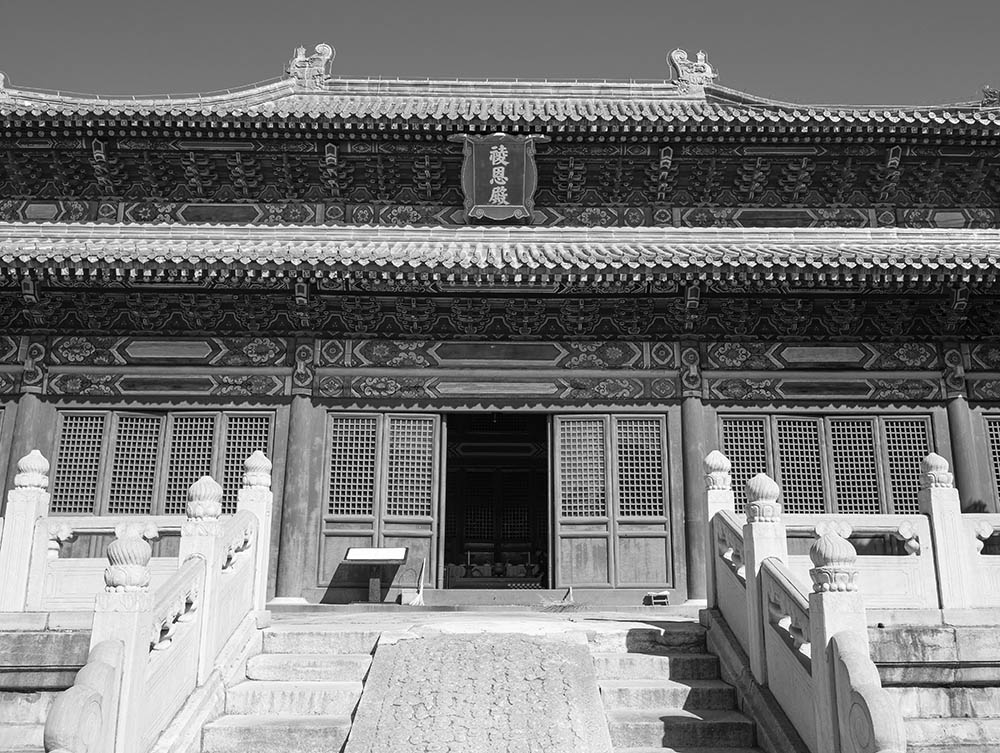 _1020207.jpg