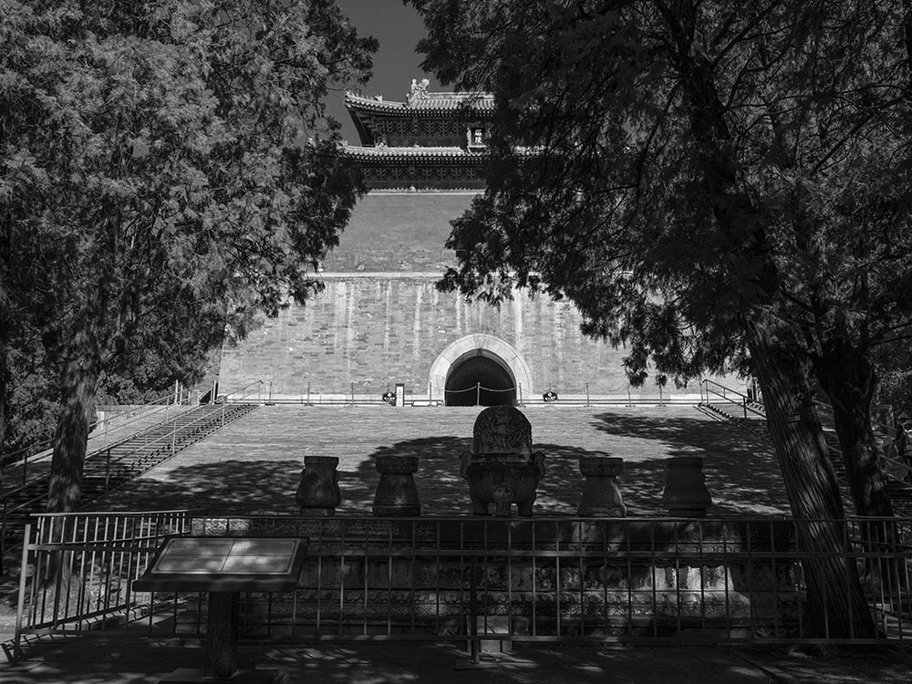_1020214.jpg