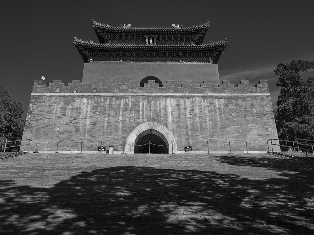 _1020215.jpg