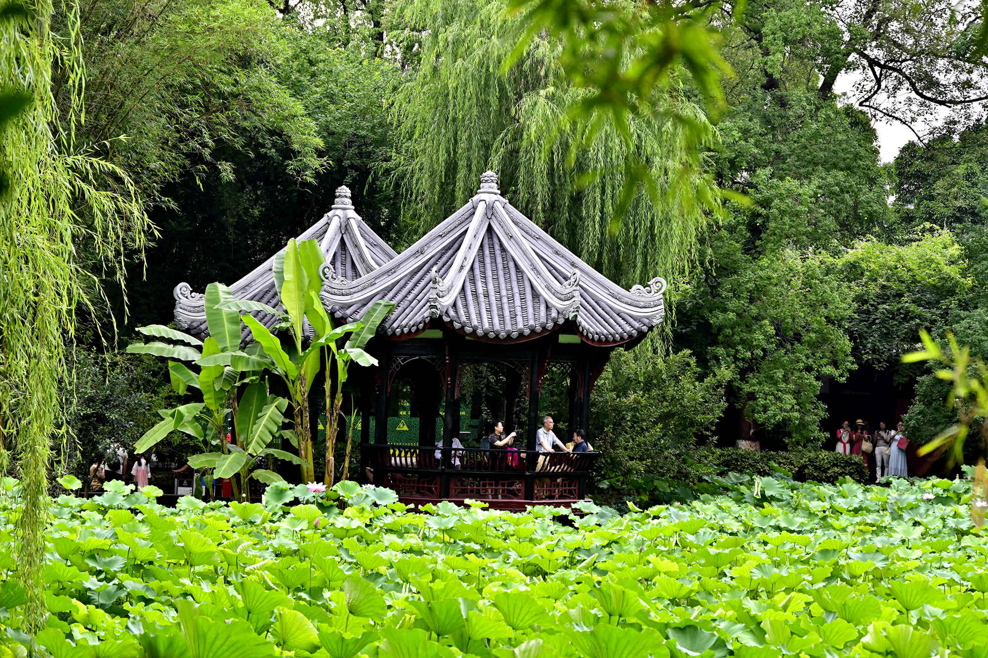 _1082918_副本.jpg