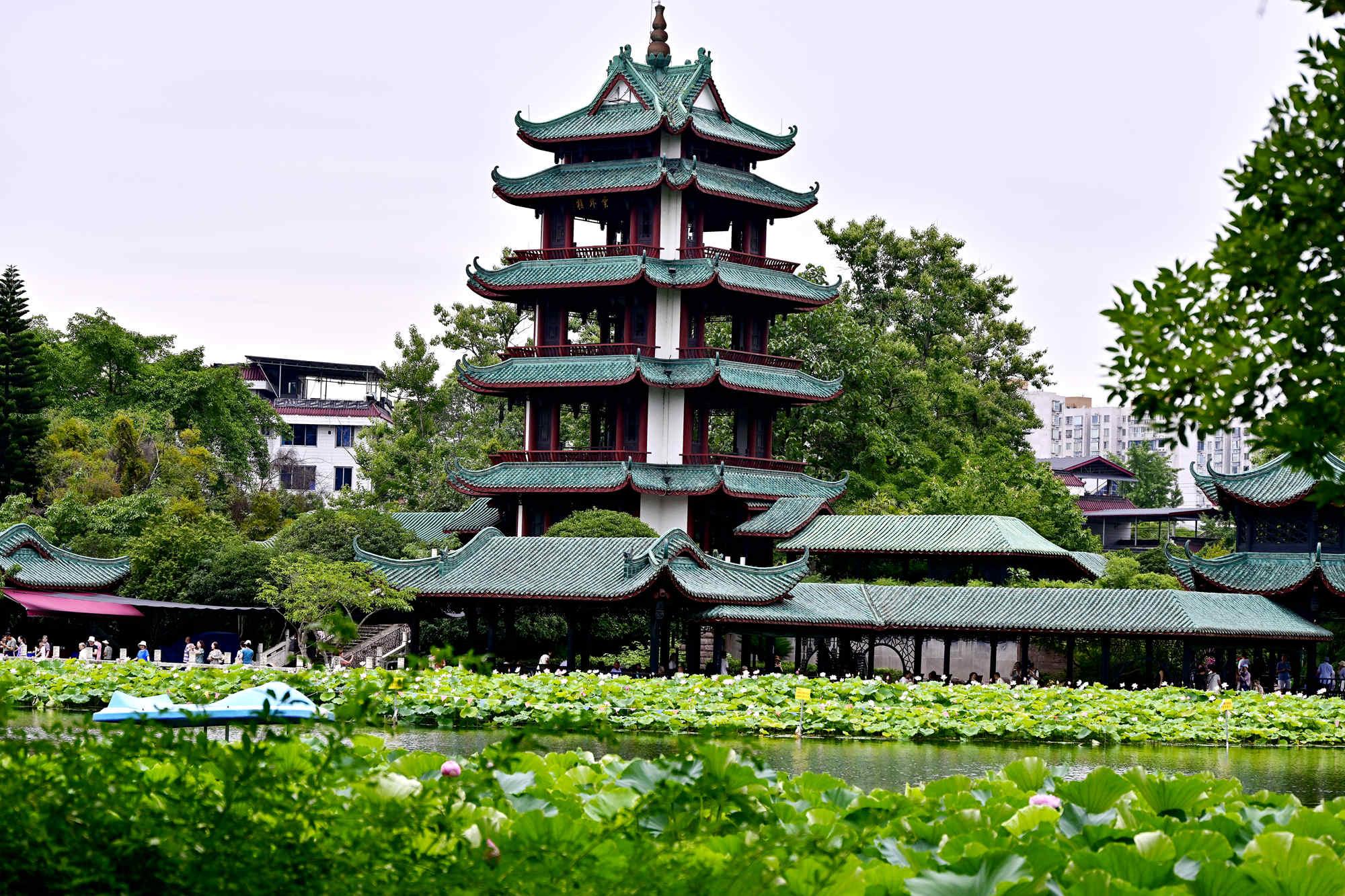 _1082956_副本.jpg