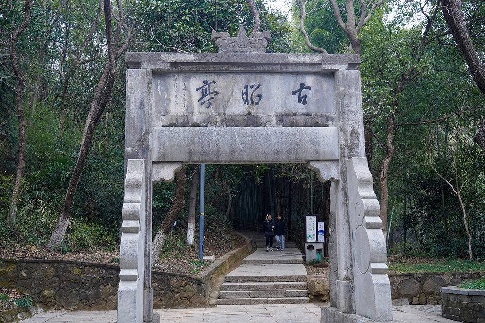 nEO_IMG_DSC06103.jpg