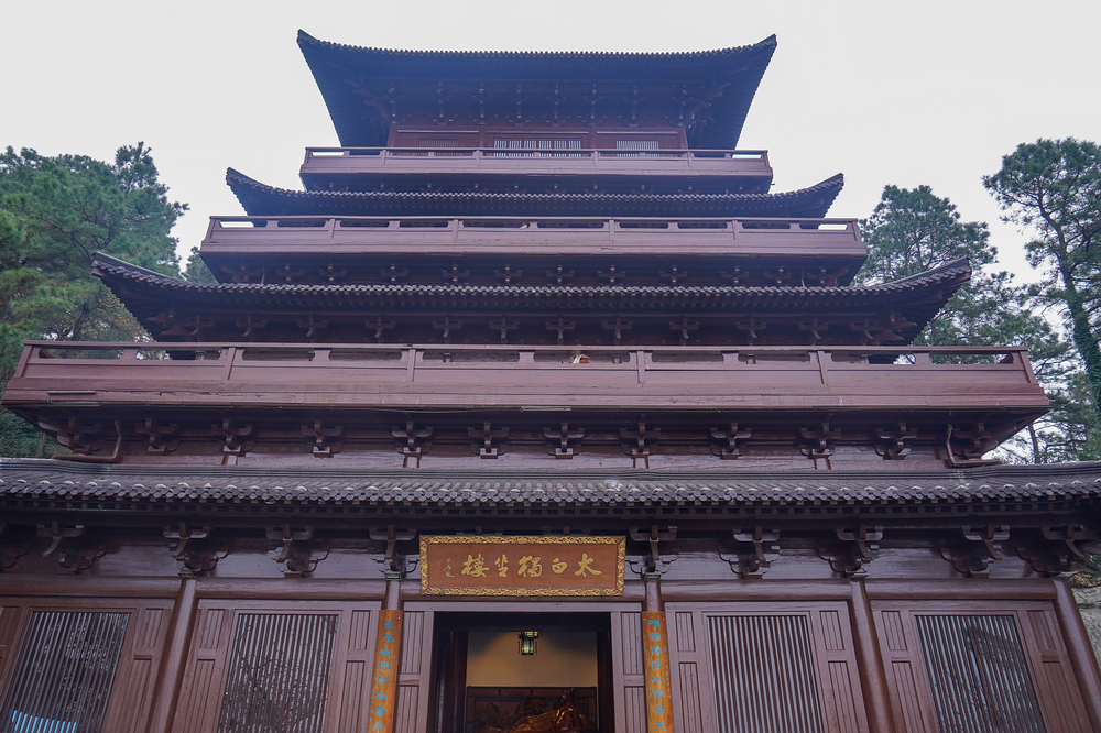 nEO_IMG_DSC06138.jpg