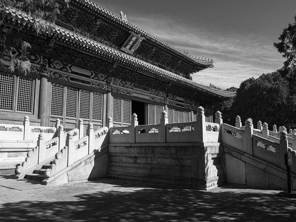 _1020227.jpg