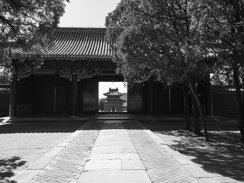 _1020230.jpg