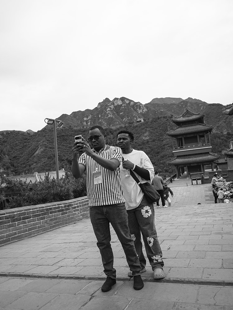 _1020681.jpg