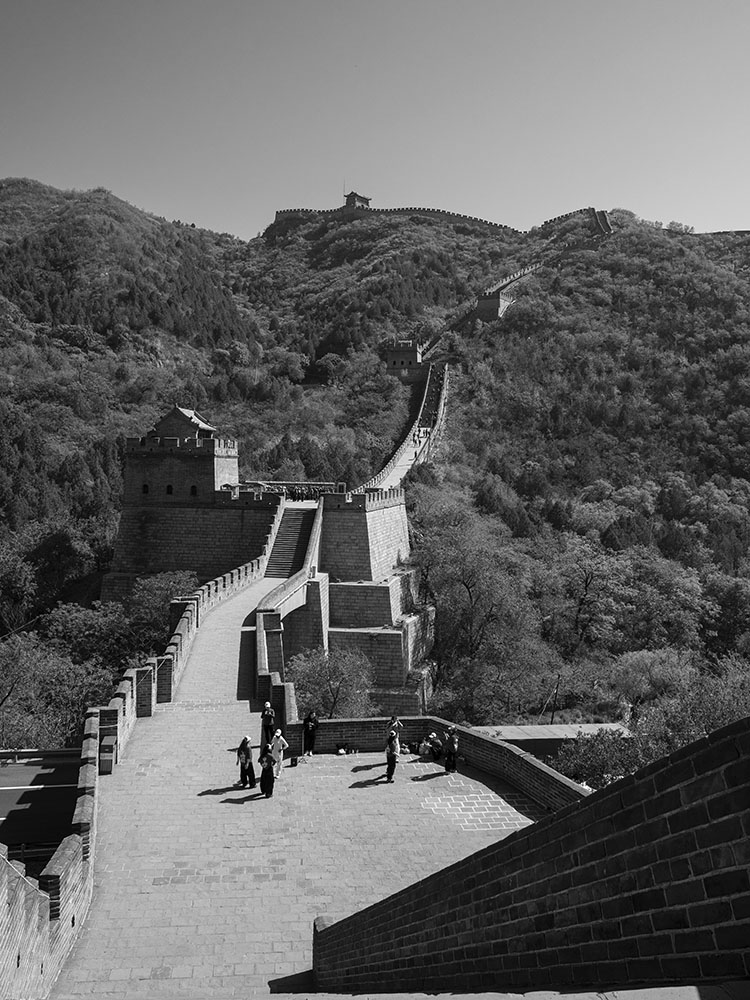 _1020341.jpg