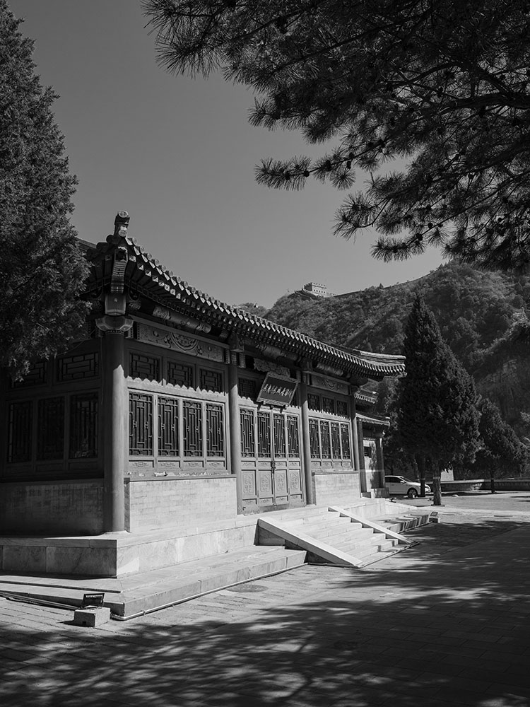 _1020333.jpg
