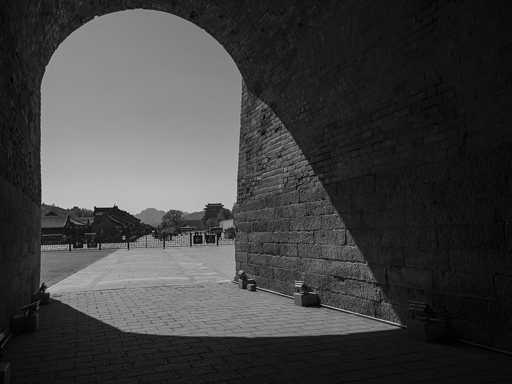 _1020349.jpg