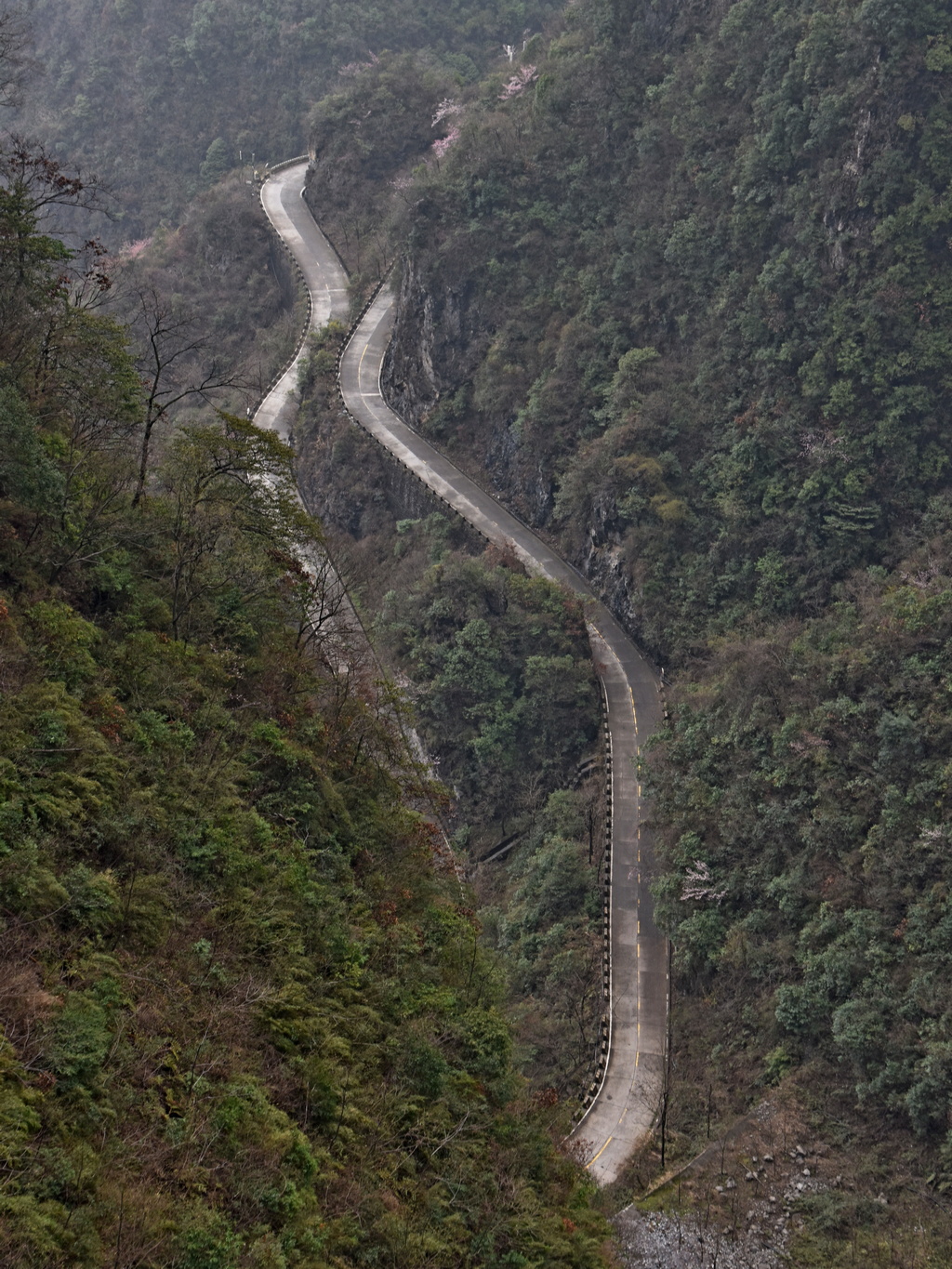 DSC_0469.JPG