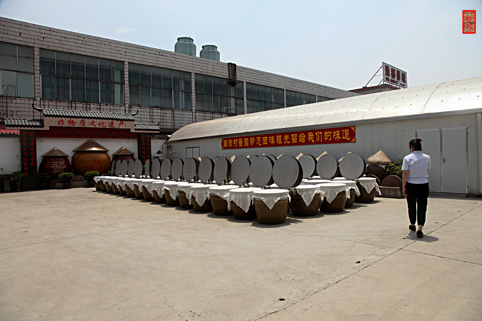 F0001250.jpg
