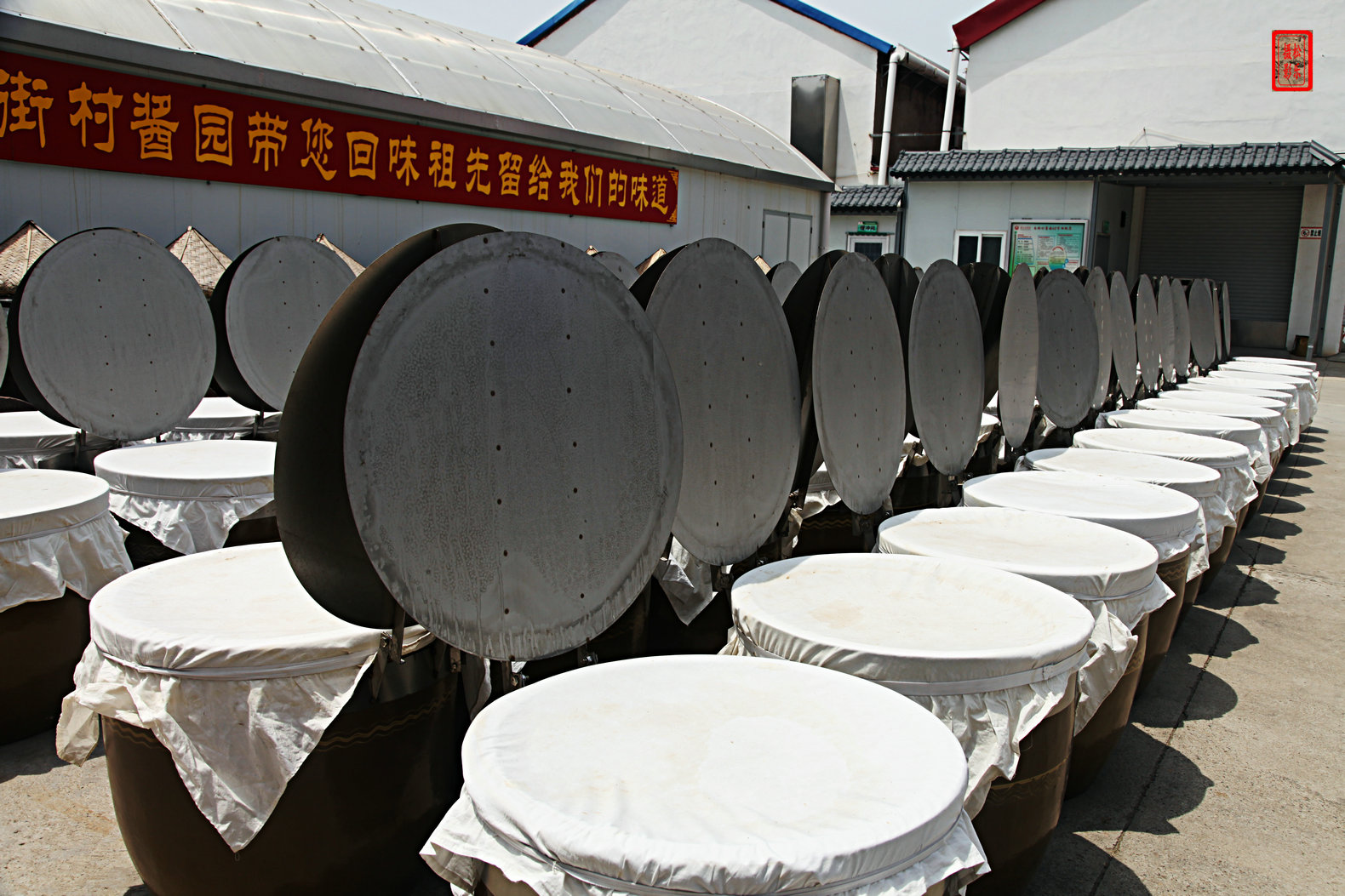 F0001259.jpg