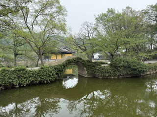 D2106746-D76D-4FD3-8E21-EBB38A46E6FE.jpeg