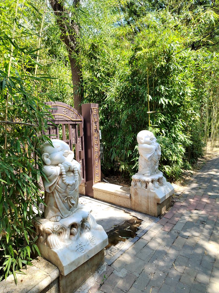 IMG_20230612_130516_副本.jpg