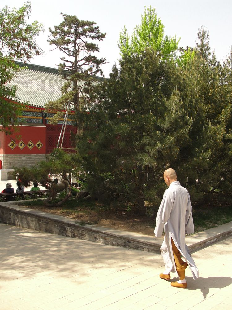 DSC07836_副本.jpg