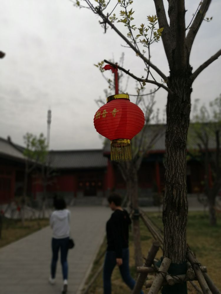 IMG_20190419_111211_副本.jpg