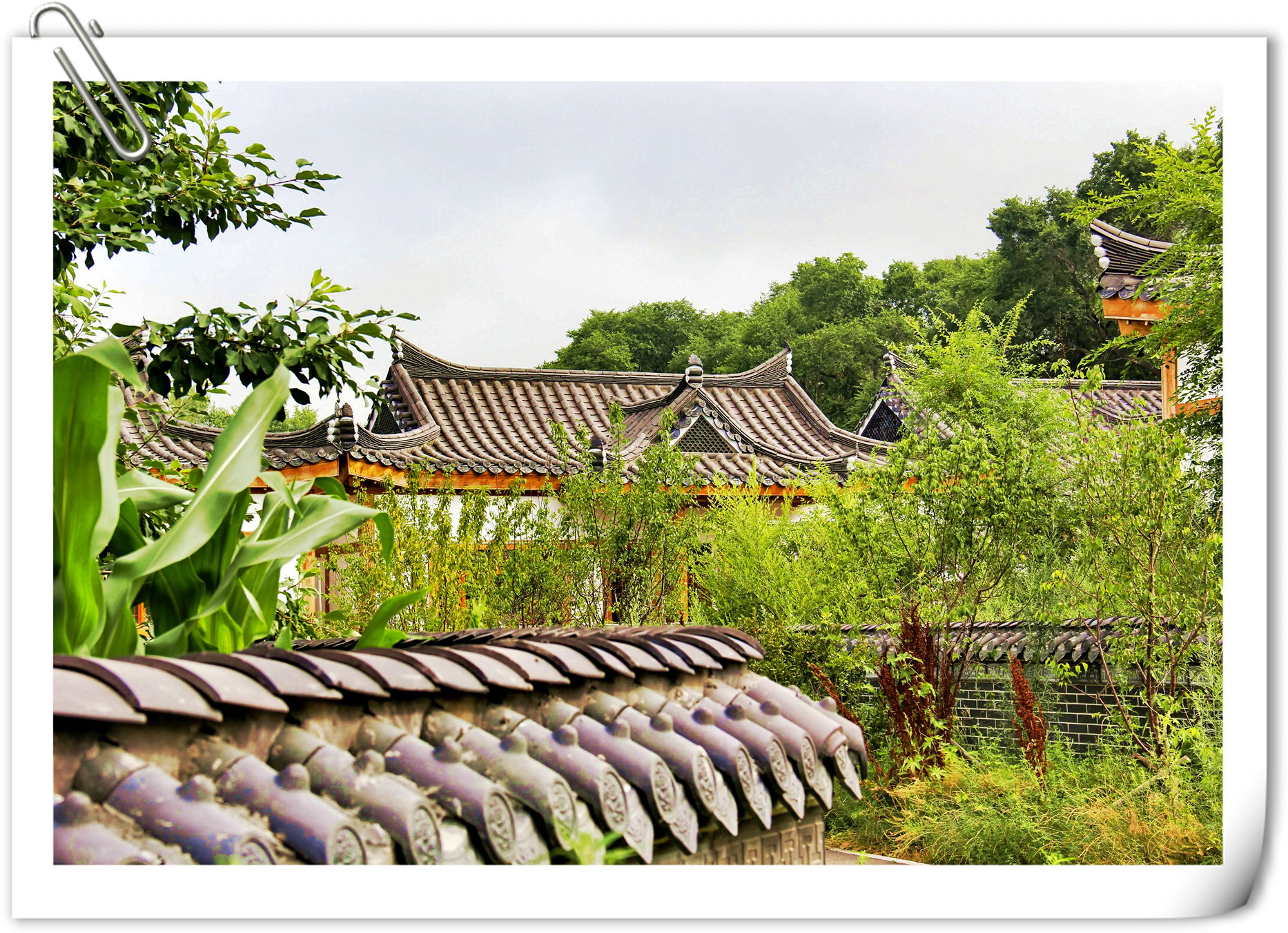 _MG_9434_副本_副本.jpg