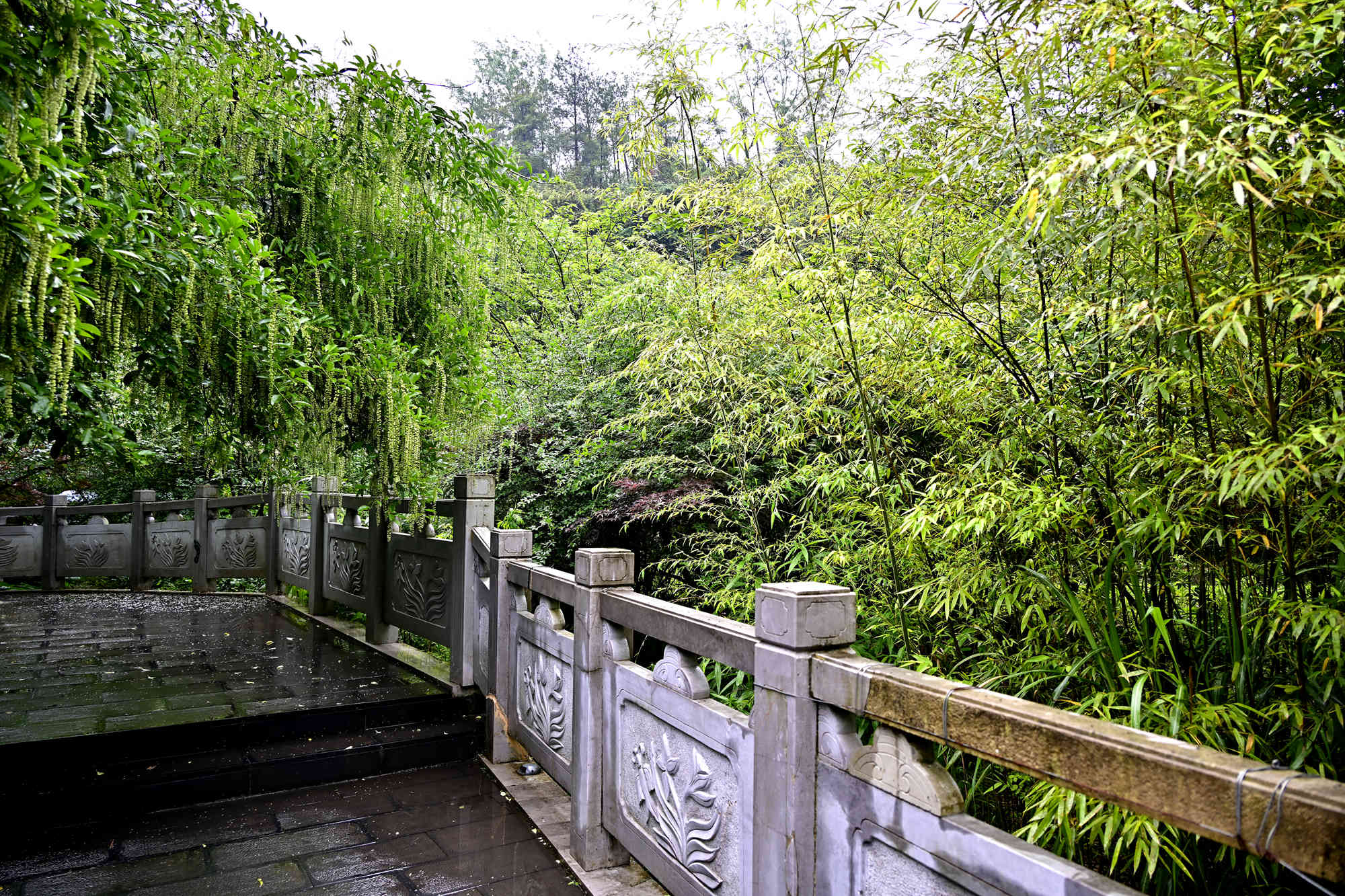 _1082403_副本.jpg