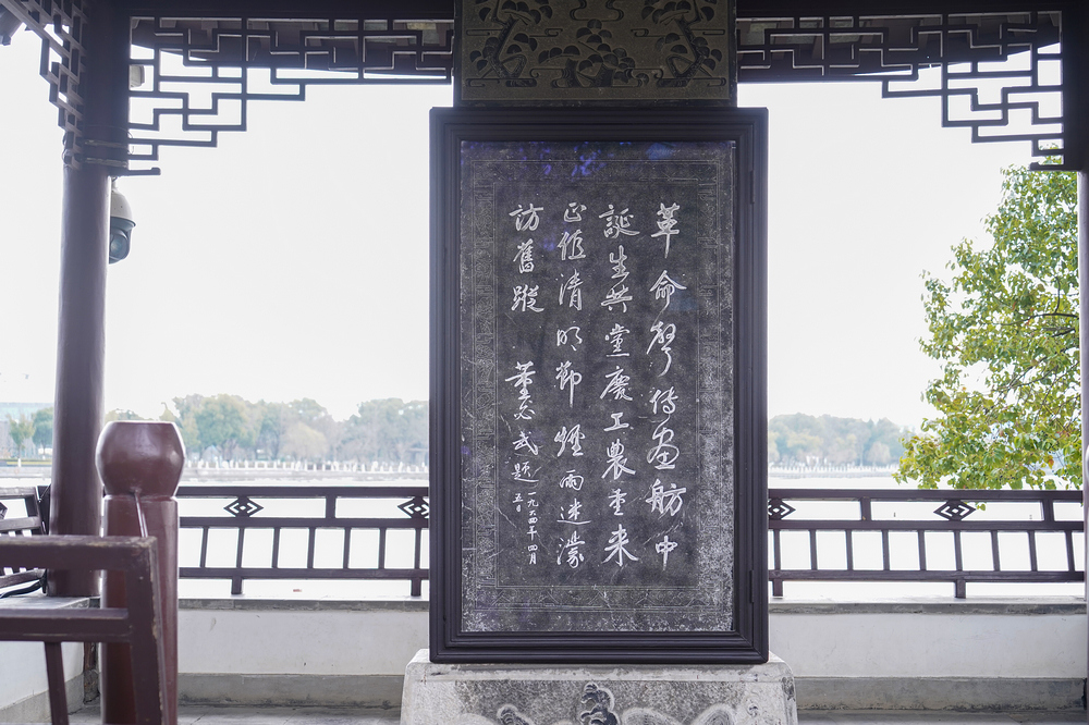 nEO_IMG_DSC06540.jpg