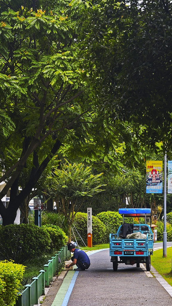 雨后041024.jpg