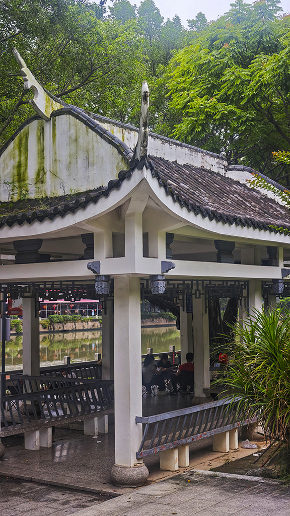 雨后091024.jpg