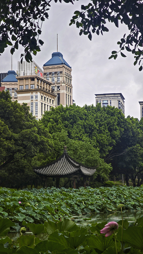 雨后0231024.jpg
