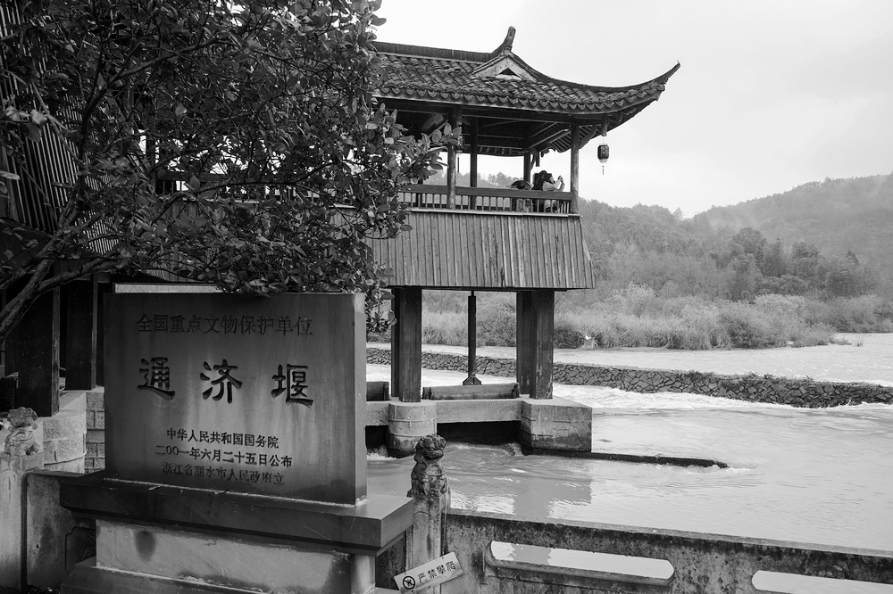 nEO_IMG_DSC08457.jpg