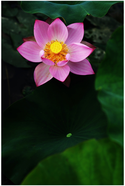 DSC_1902x_副本.jpg