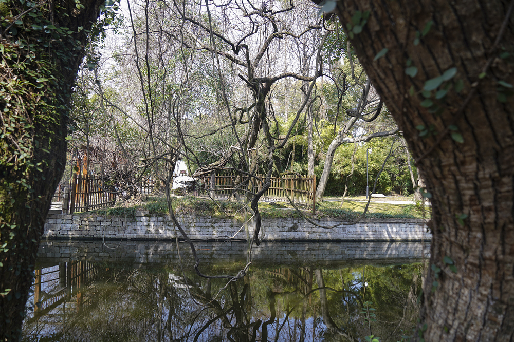 nEO_IMG_DSC06235.jpg