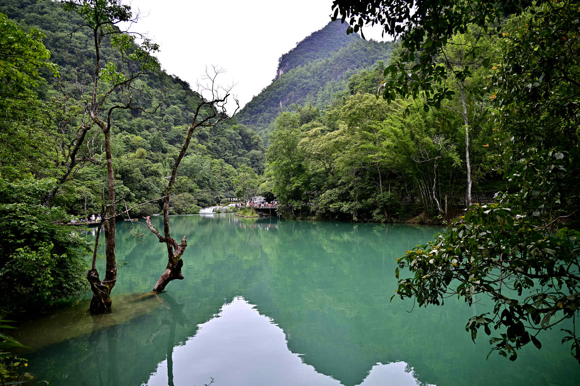 _1082560_副本.jpg
