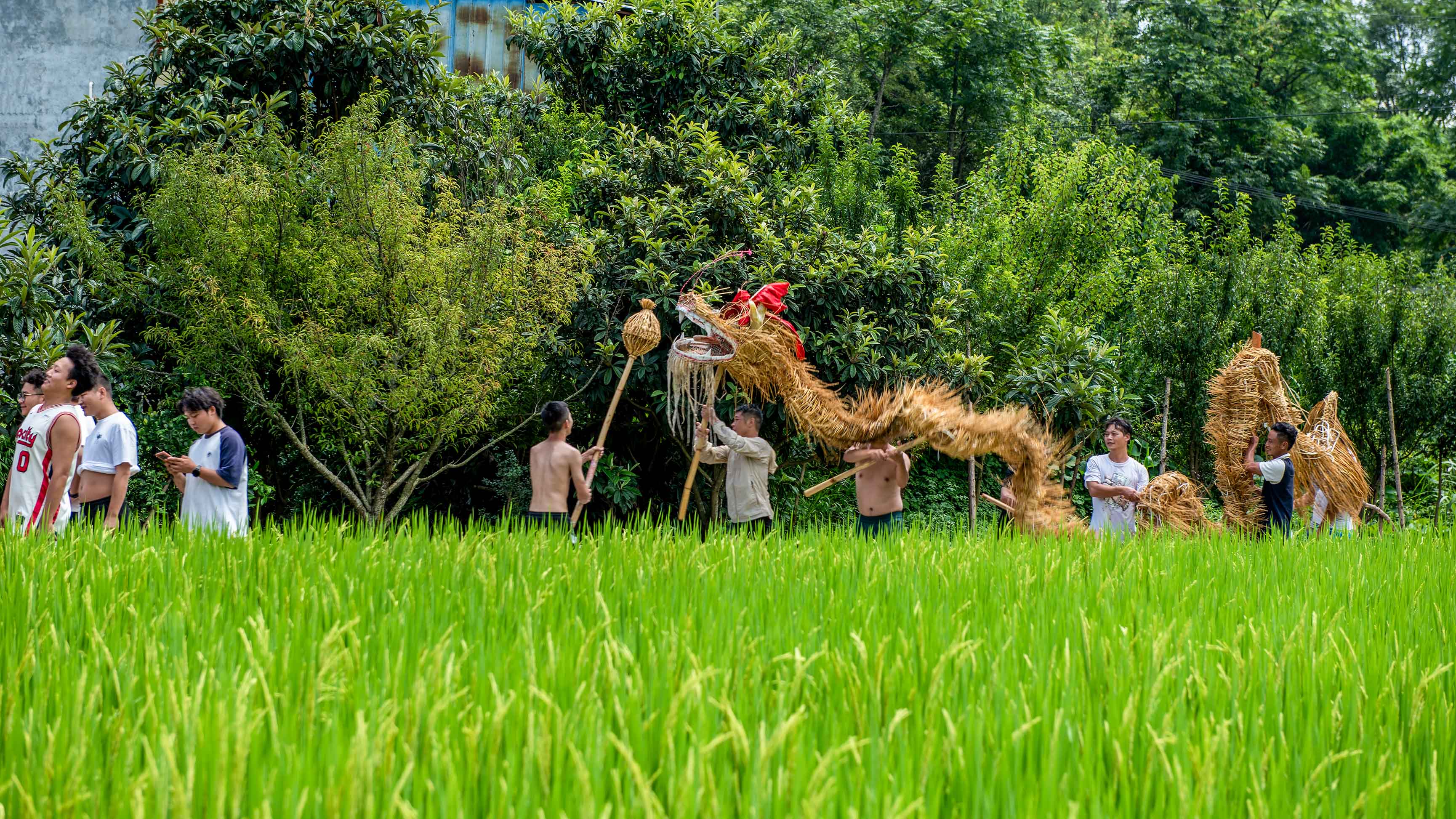 DSC_7743 拷贝 2.jpg