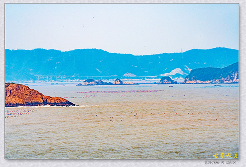 _DSC9375.jpg