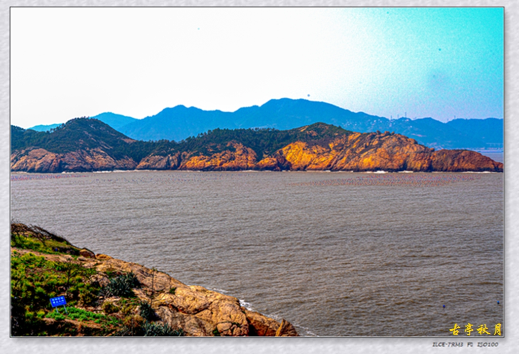 _DSC9378.jpg